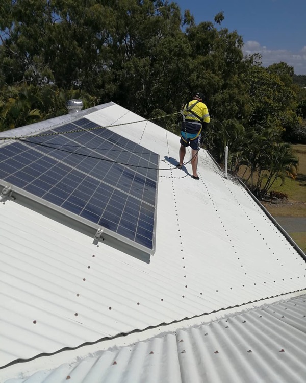 Professional roof cleaning service in action